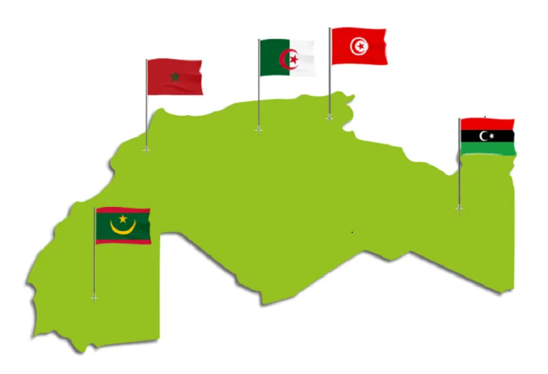 الأمين العام لاتحاد المغرب العربي يشيد بالمواقف الإيجابية الموحدة للدول المغاربية الرافضة للتدخلات الأجنبية والعسكرية في ليبيا