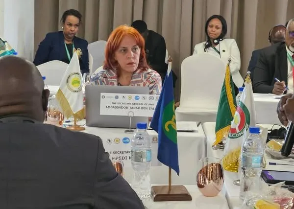 السيدة أمينة سلمان، مديرة الشؤون الاقتصادية والممثلة الدائمة لاتحاد المغرب العربي لدى الاتحاد الإفريقي في أديس أبابا، تشارك ، في اجتماع التجمعات الاقتصادية الإقليمية، المنعقد على هامش أشغال الدورة العادية الـ 46 للمجلس التنفيذي والقمة الـ 38 للاتحاد ال…
