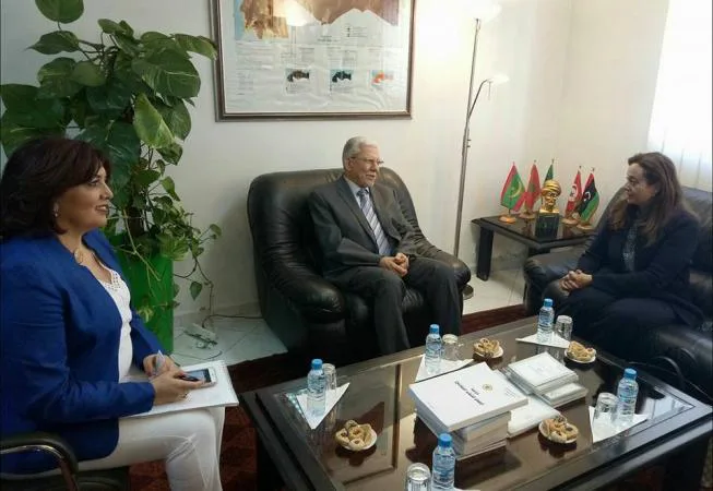 الأمين العام لاتحاد المغرب العربي يجري مباحثات مع مفوضة البنية التحتية والطاقة والسياحة بالاتحاد الأفريقي