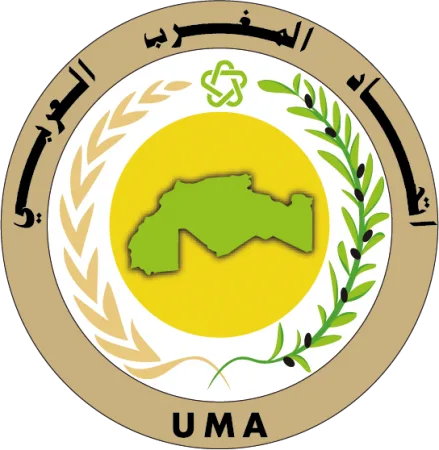 عام 2017 تميز بالعديد من الأنشطة الرامية إلى استكمال البناء المغاربي وتنشيط هياكله